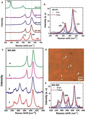 Low-Temperature Chemical Vapor Deposition Growth of MoS2 Nanodots and Their Raman and Photoluminescence Profiles